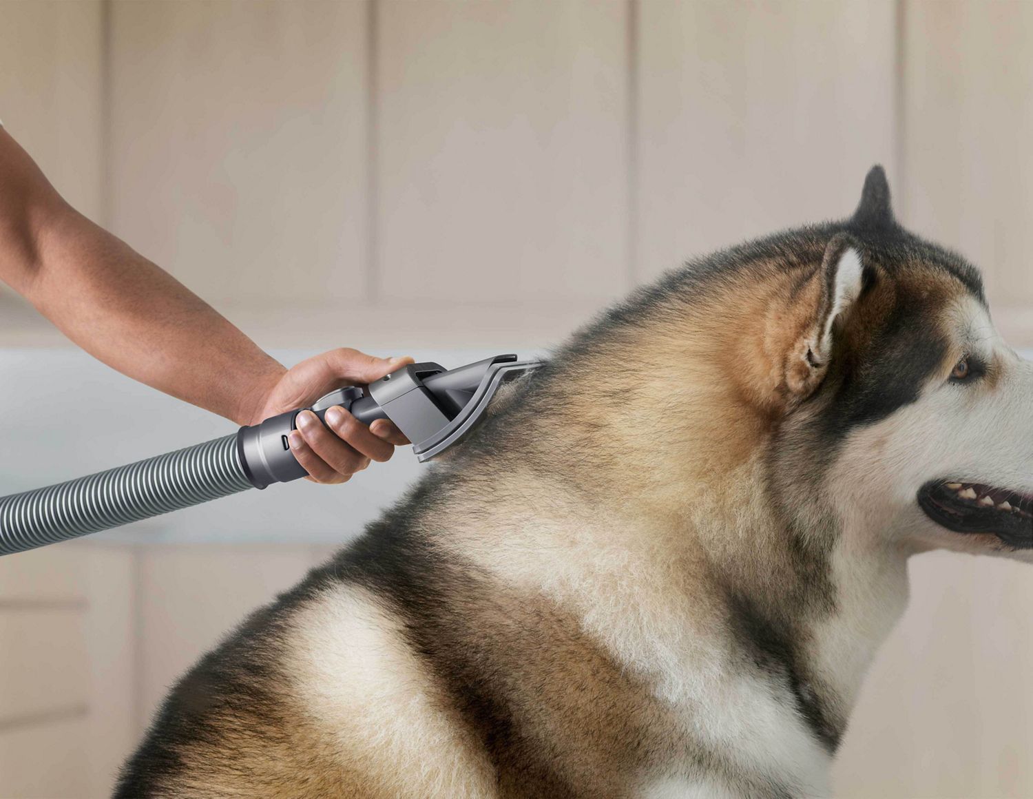 Dog grooming vacuum attachment online
